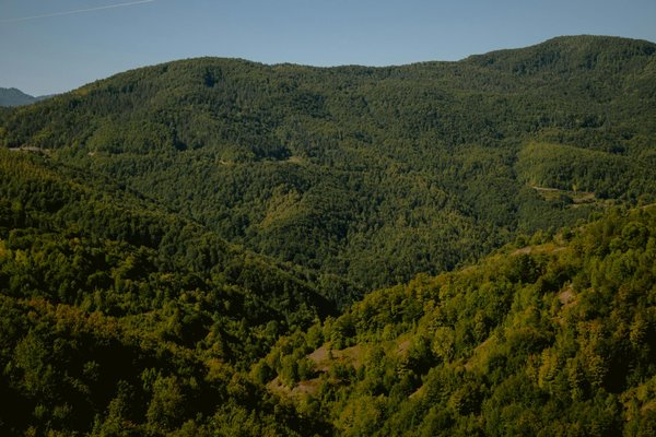 Les bénévoles de la Biennale de Lyon : qui sont-ils et comment les rejoindre?